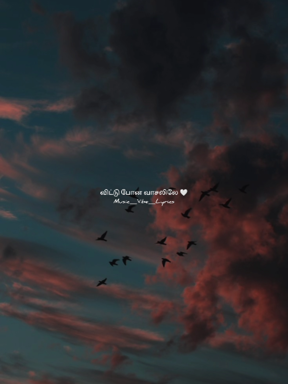 @Music_Vibes_Lyrics 🎶