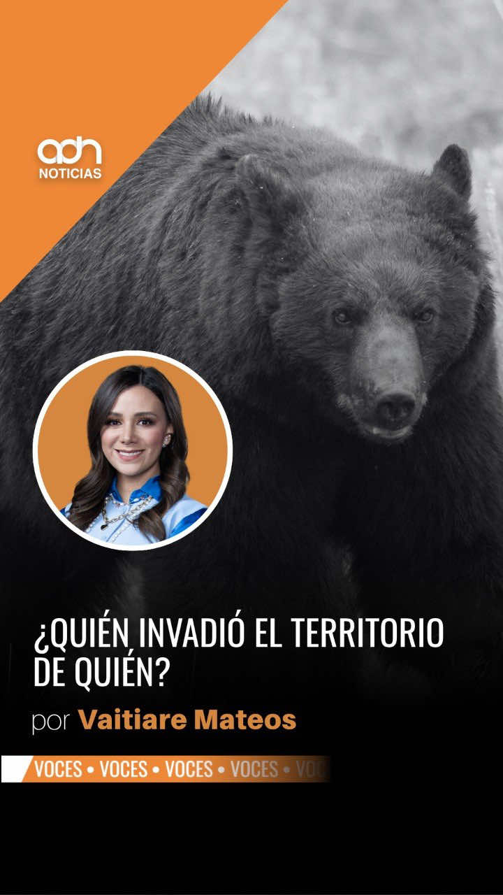 @adn Noticias