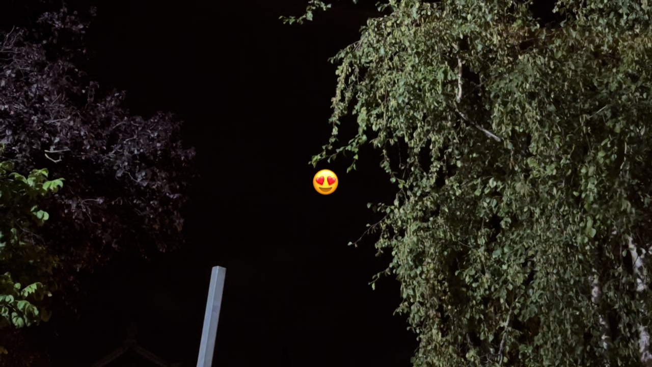 @Spideer.i213