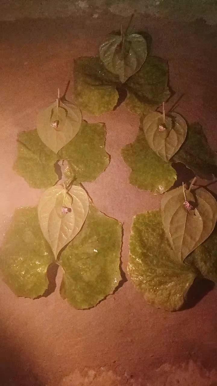 @shantidevisutihar