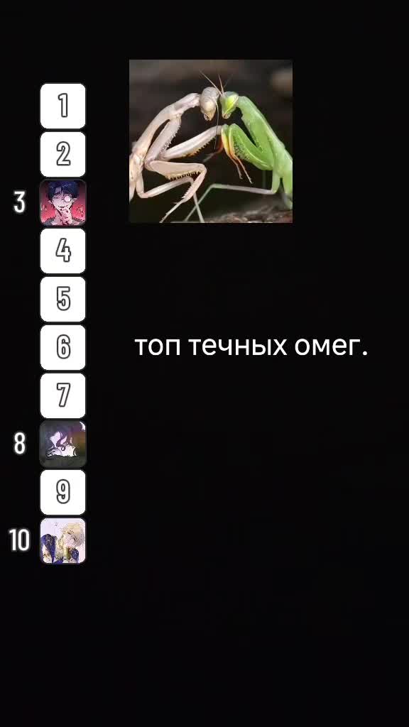 @Meffi
