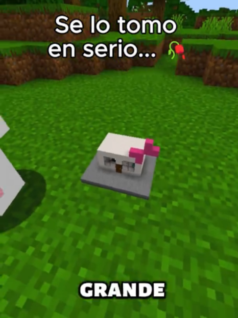 @Soy Manuel