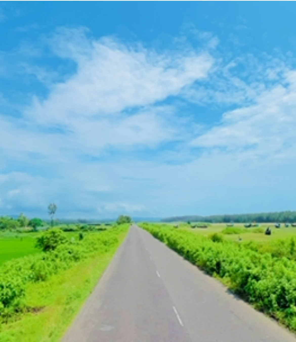 @প্রাকৃতিক 🌿