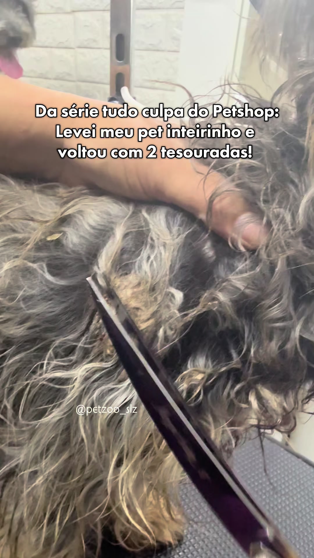 @Francinny Veterinária®️