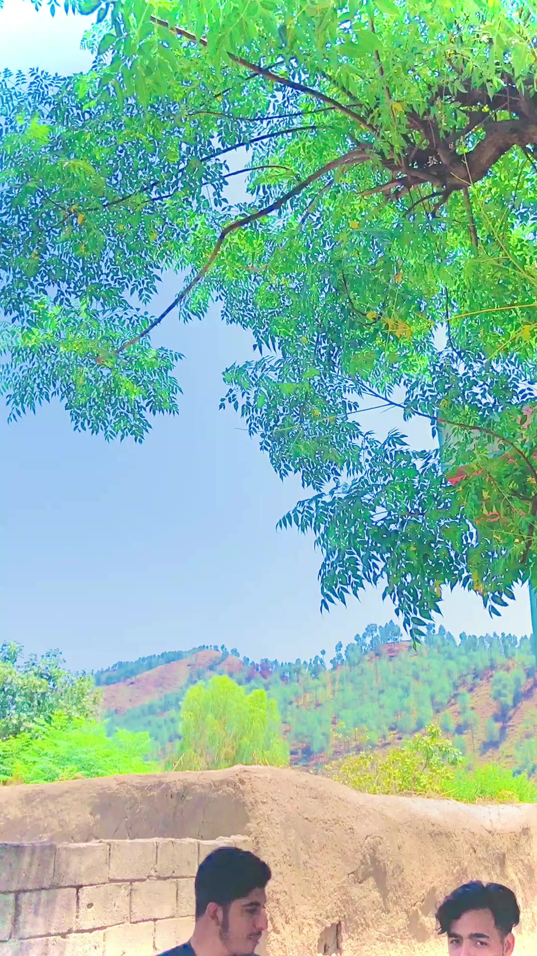@✩彡 𝗨𝗠𝗔𝗥𝗢𝗢彡✩