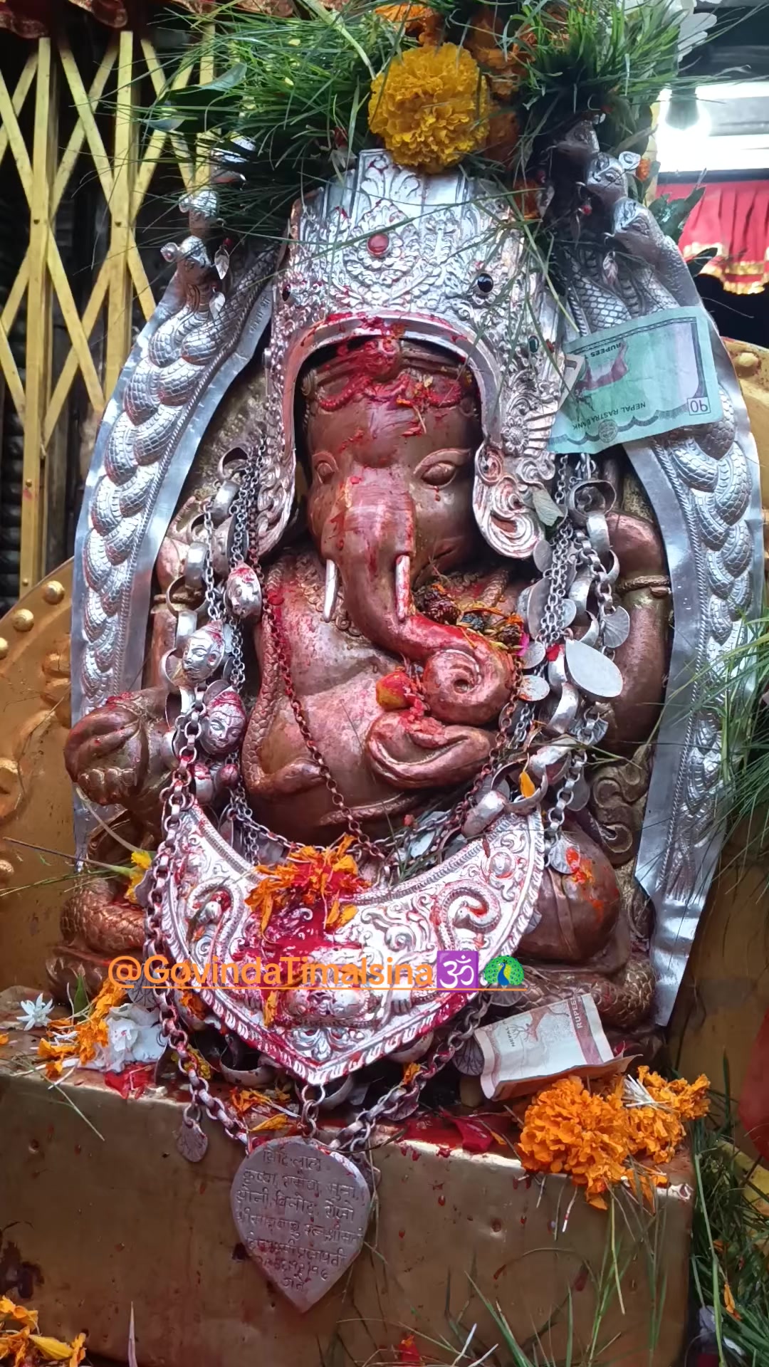 @Govinda Timalsina🕉🦚
