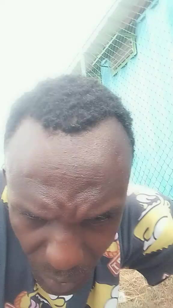 @ComidianMark