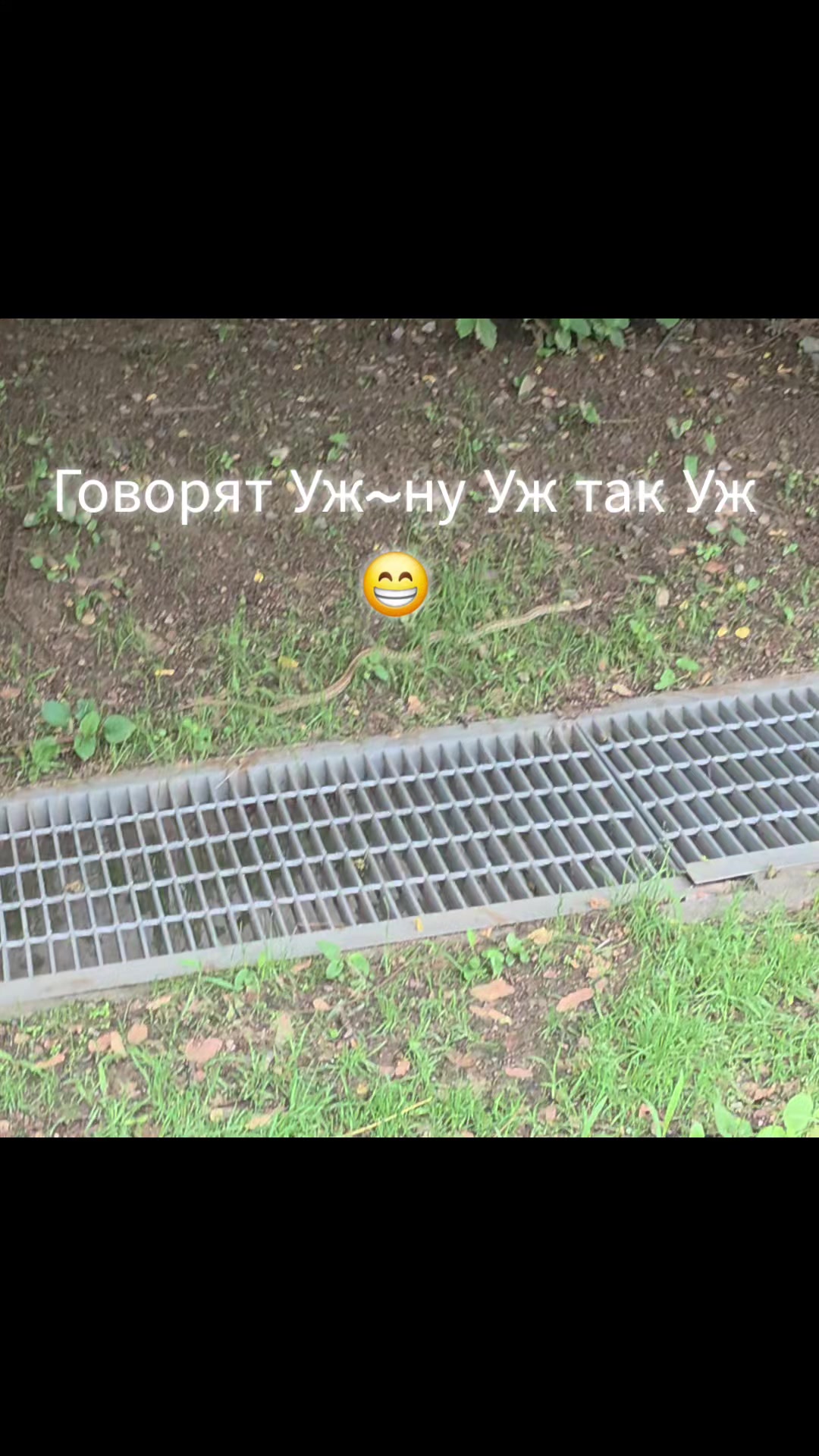 @Здоровый позвоночник♡Юж.Корея