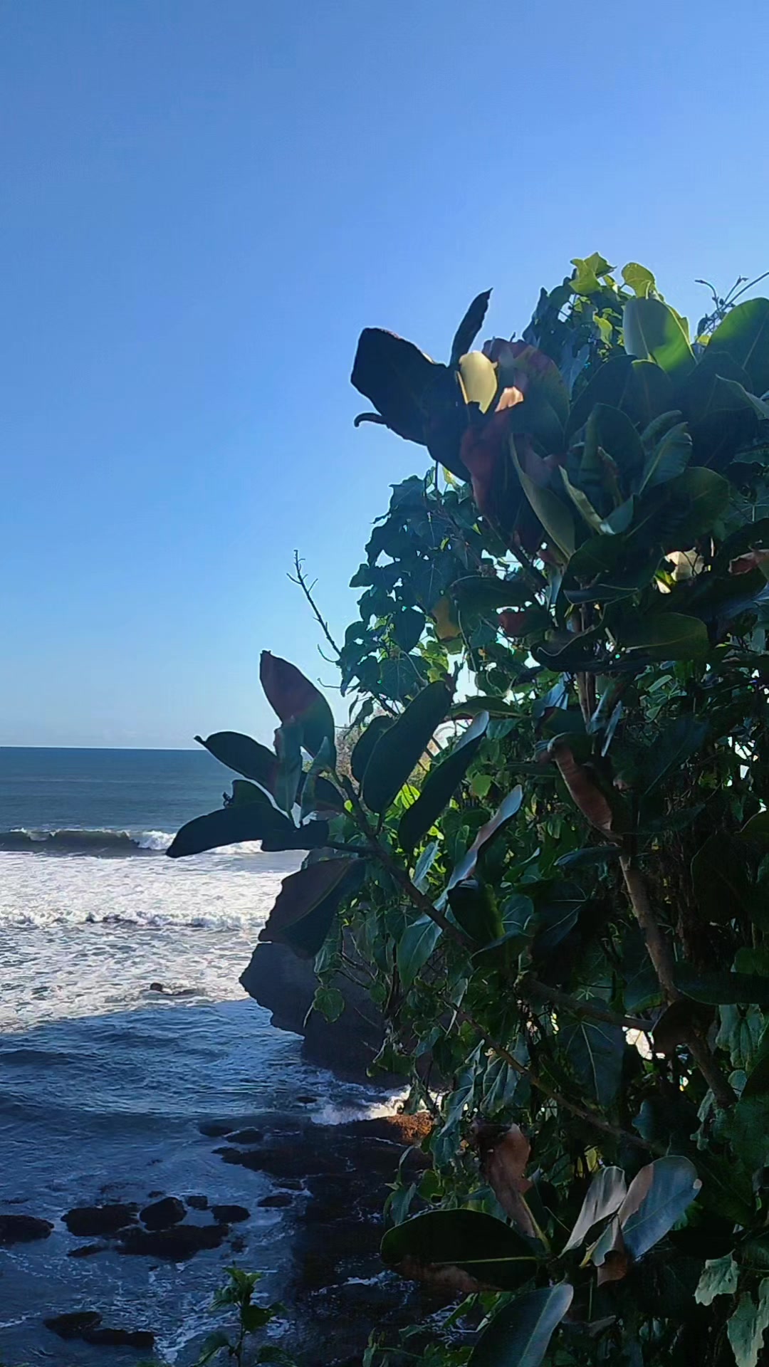 @Sentir_nurbali.com