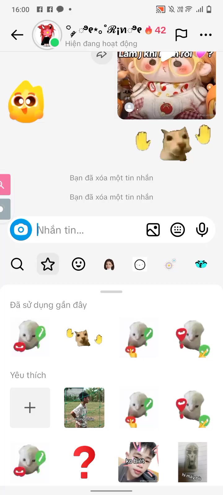 @con cá biết bay🐟