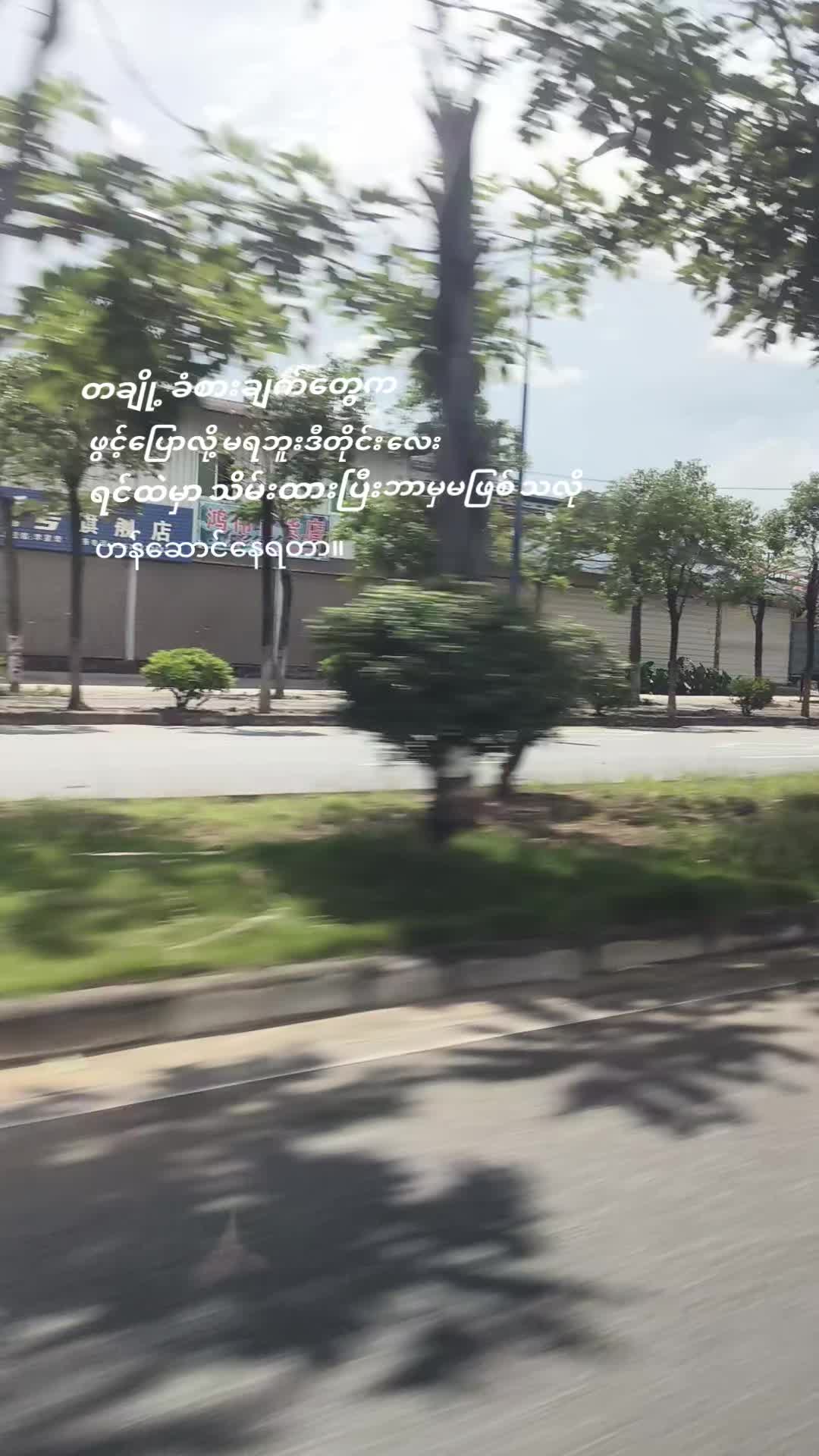 @xin xin