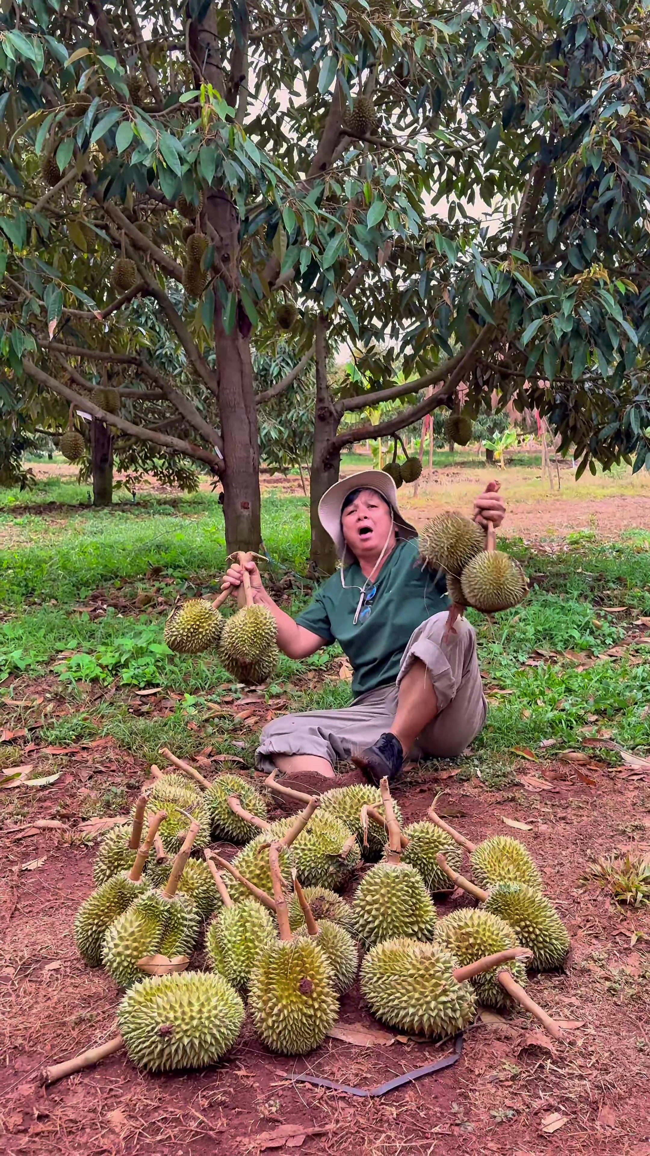 @ไร่วันยังขำ Oneyoungkham farm