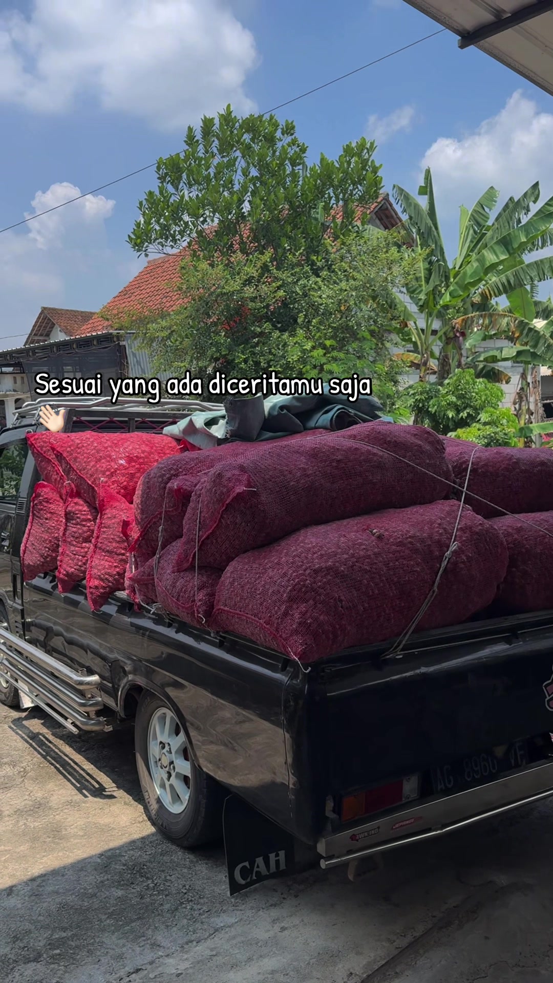 @Danu Irawan