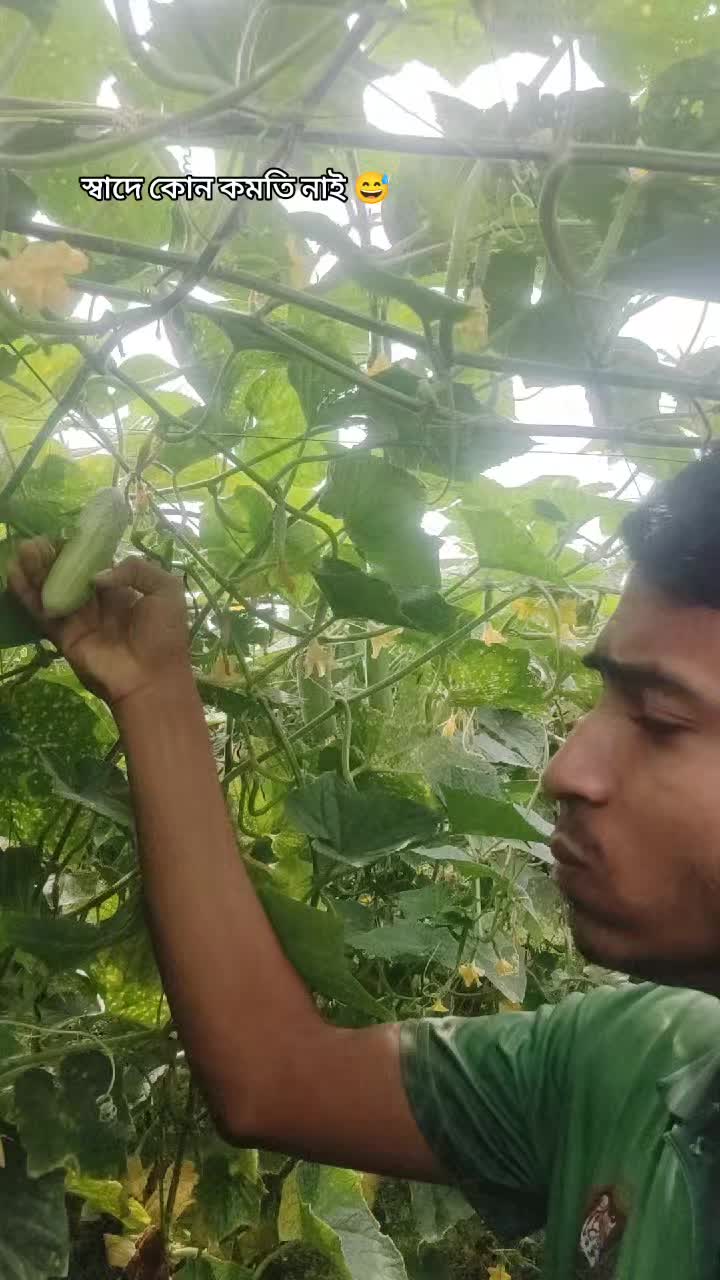 @Hossain9988