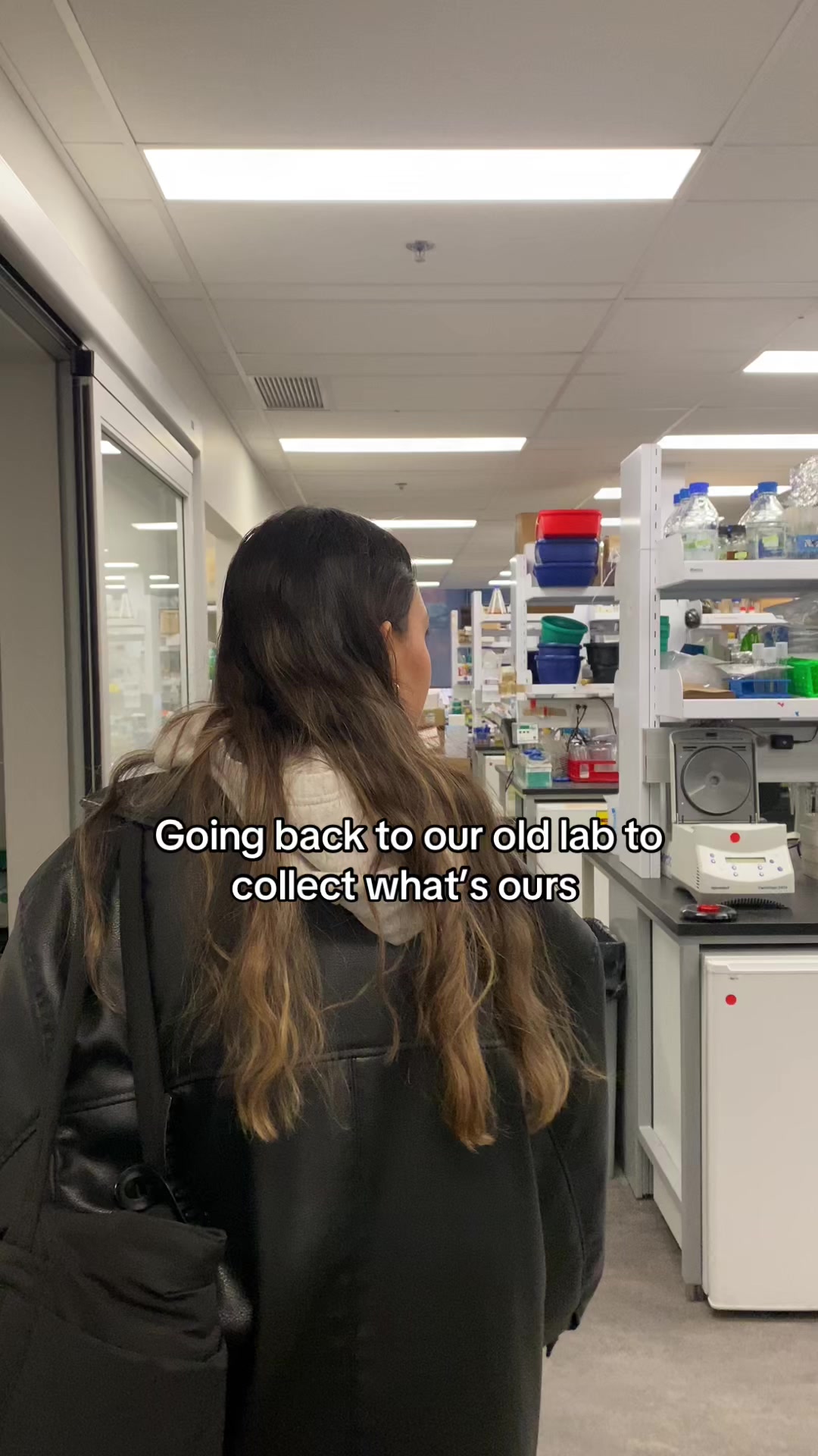 @cluelesslabgirlies