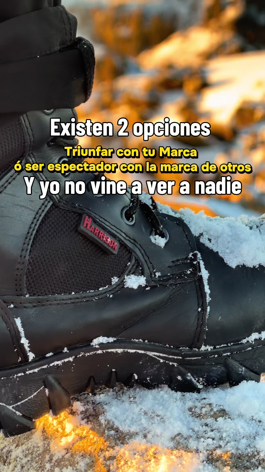 @PATRON ZAPATERIAS