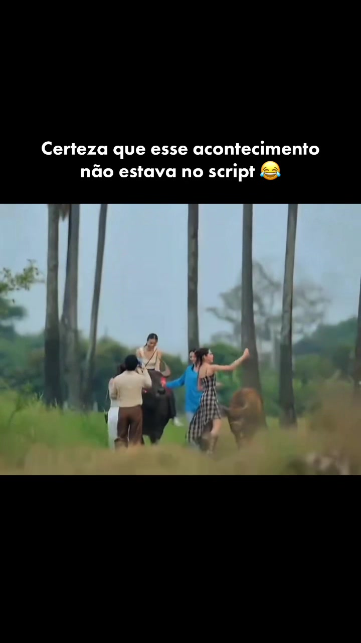@glstailandeses1