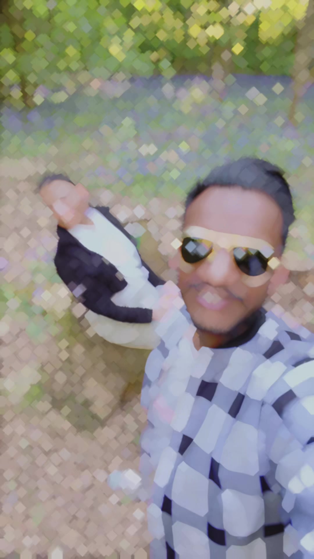 @Chauhan Sarb