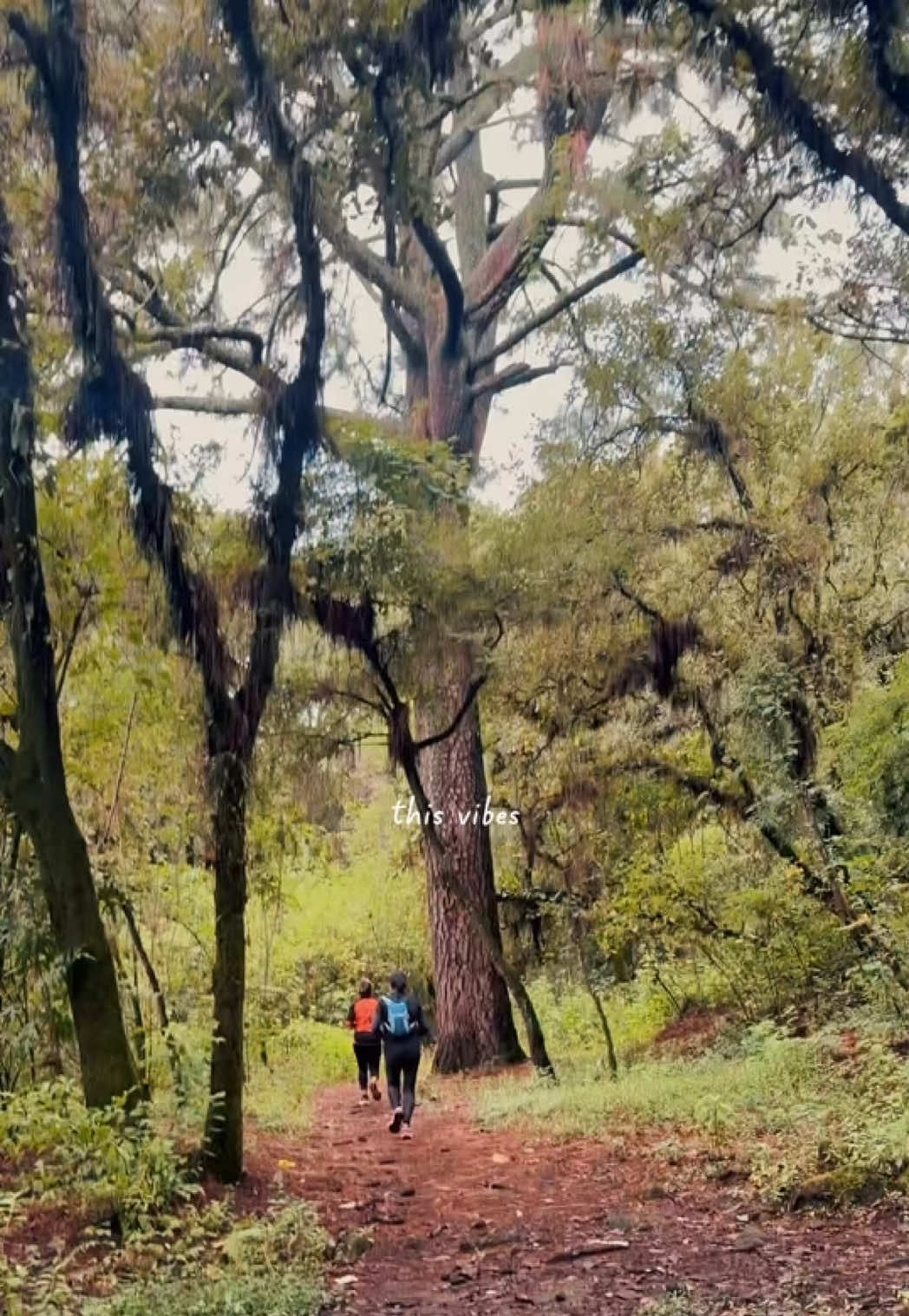 @Vero Aiko Ŀuŋä