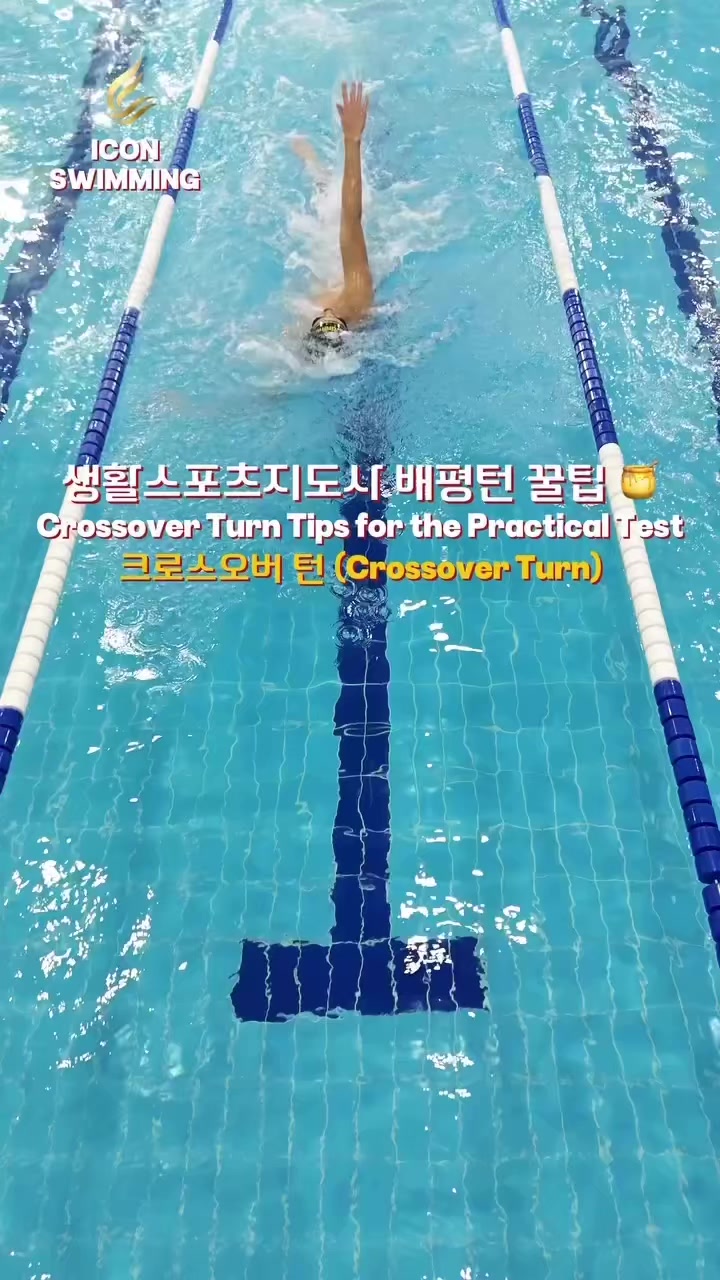 @부산 물개