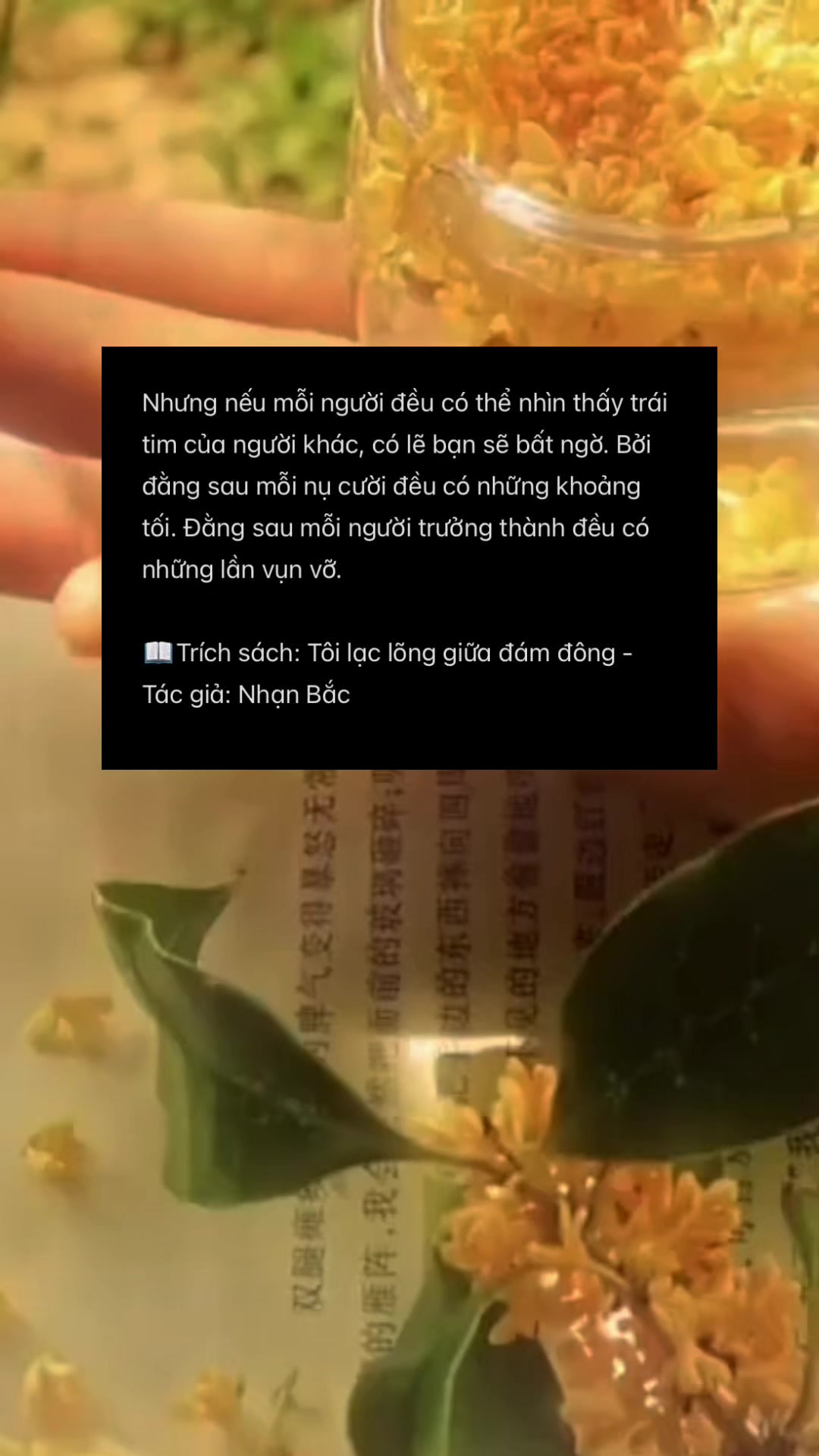 @Ở một góc nhân gian