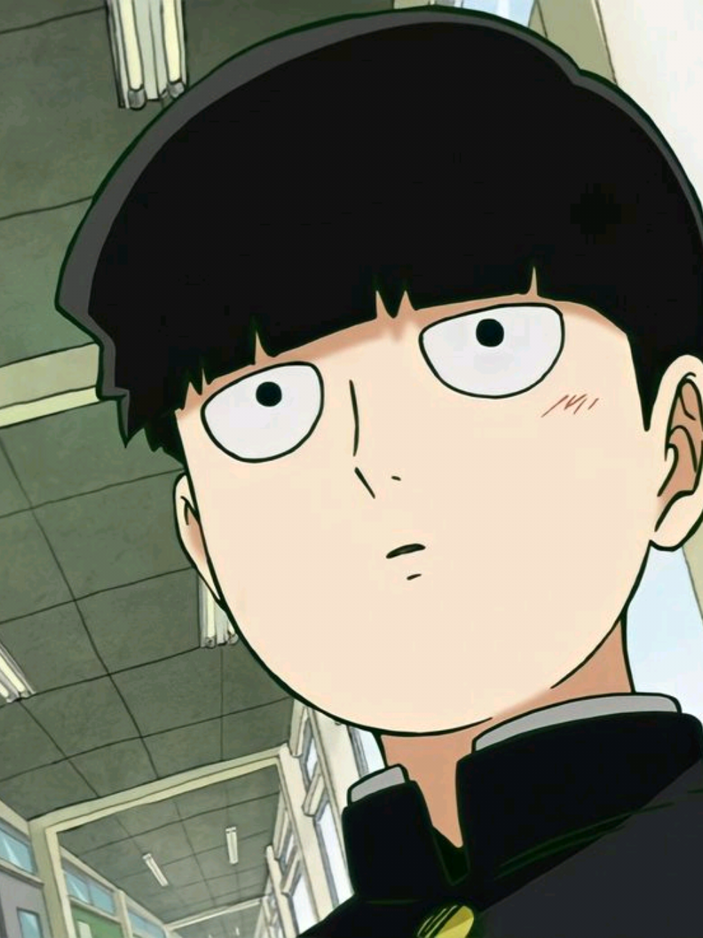 @shigeo_core