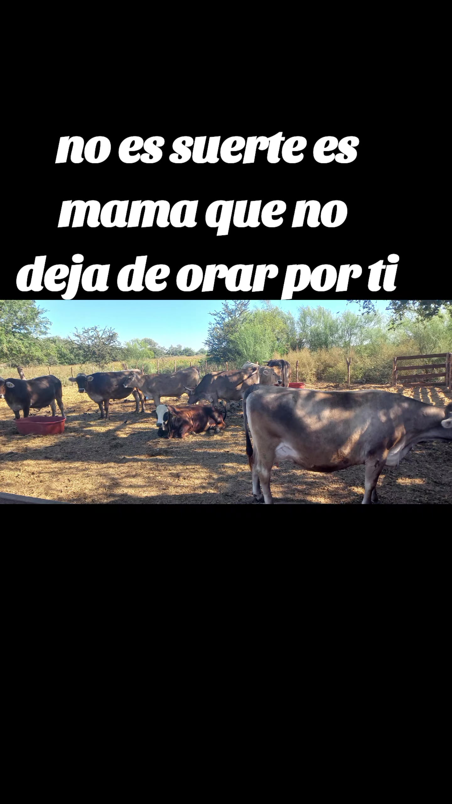 @Ranchero100%