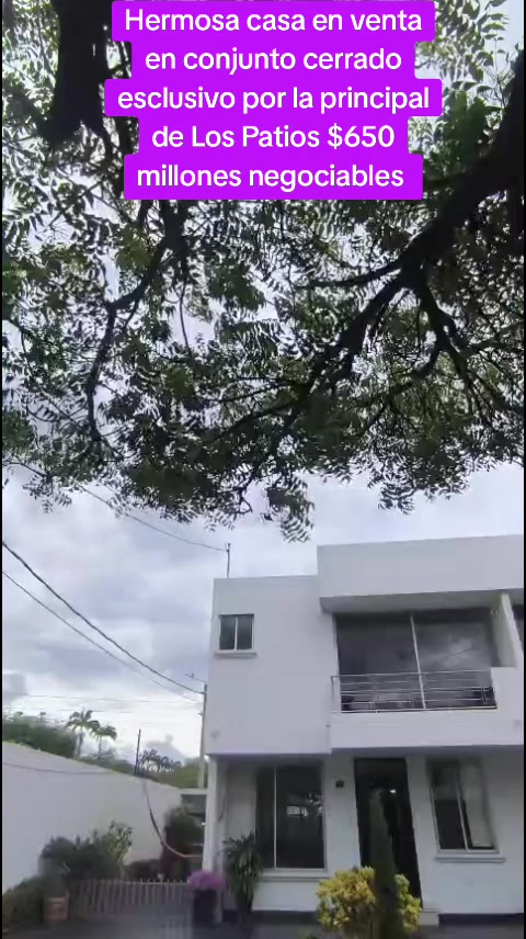 @Mileovallos22❤️&zwj;🩹Finca Ra&iacute;z🏡