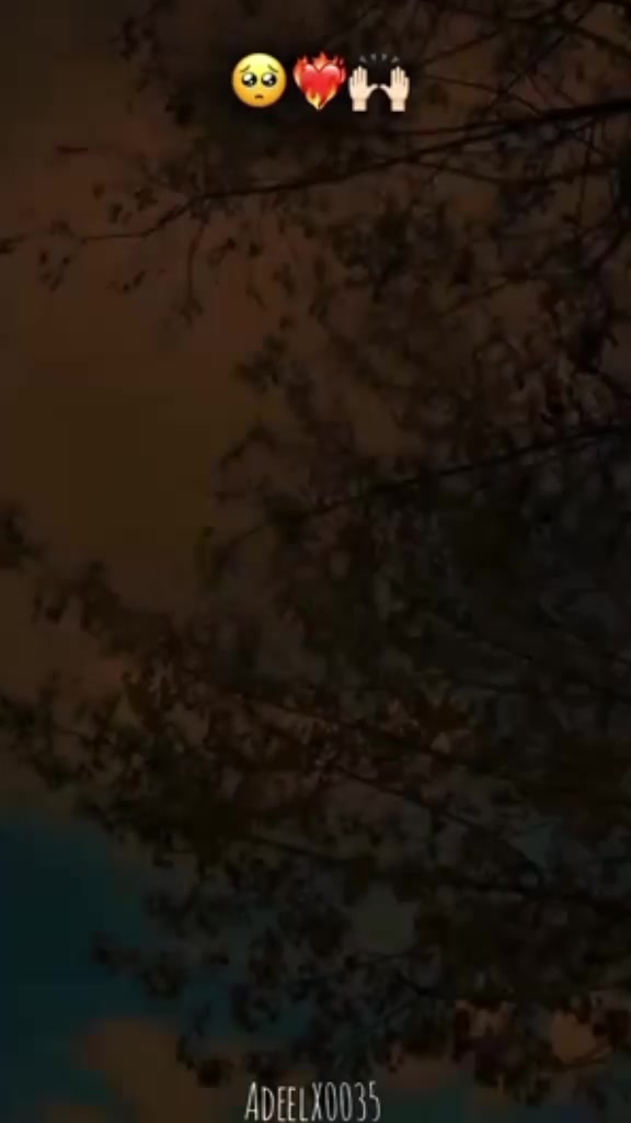 @NOKR 🙏5❤️12 DA