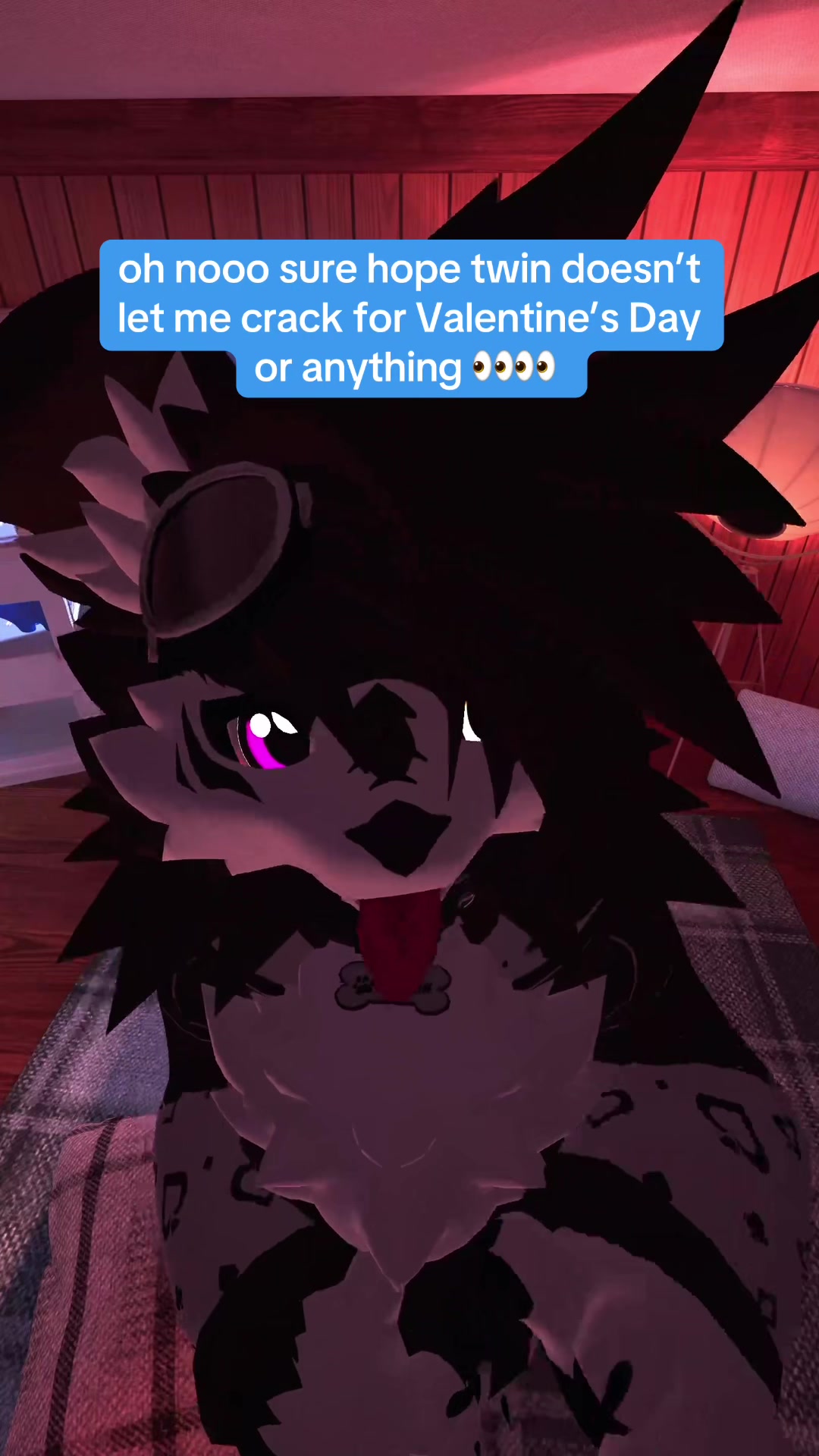 @mawswithpaws