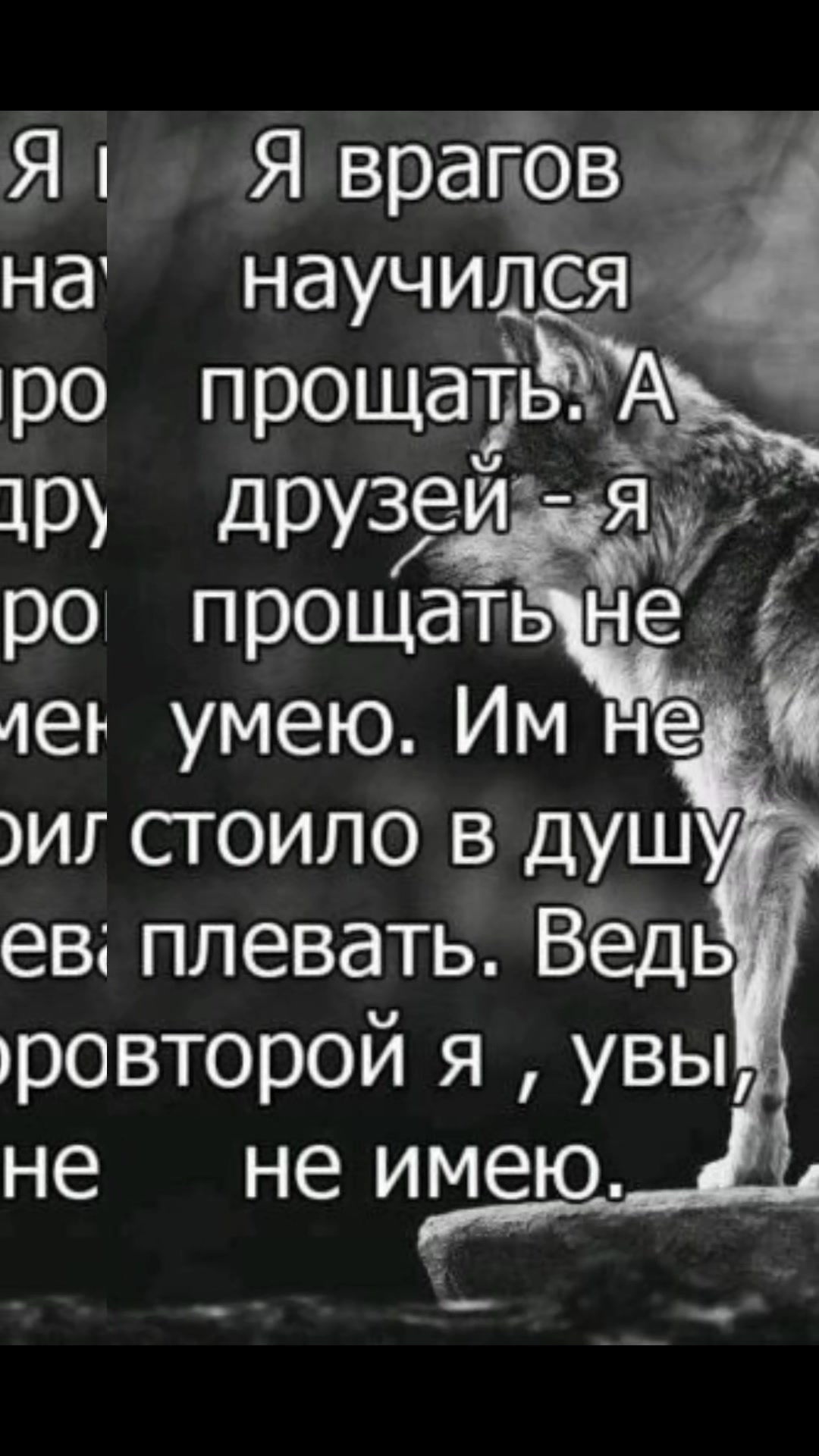 @🦊 Lisa🦊