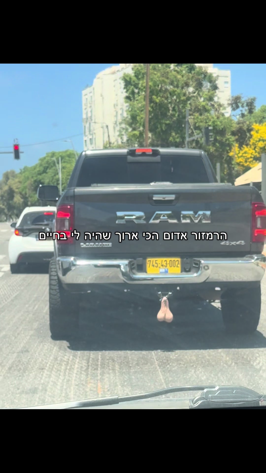 @טליה פיניאן