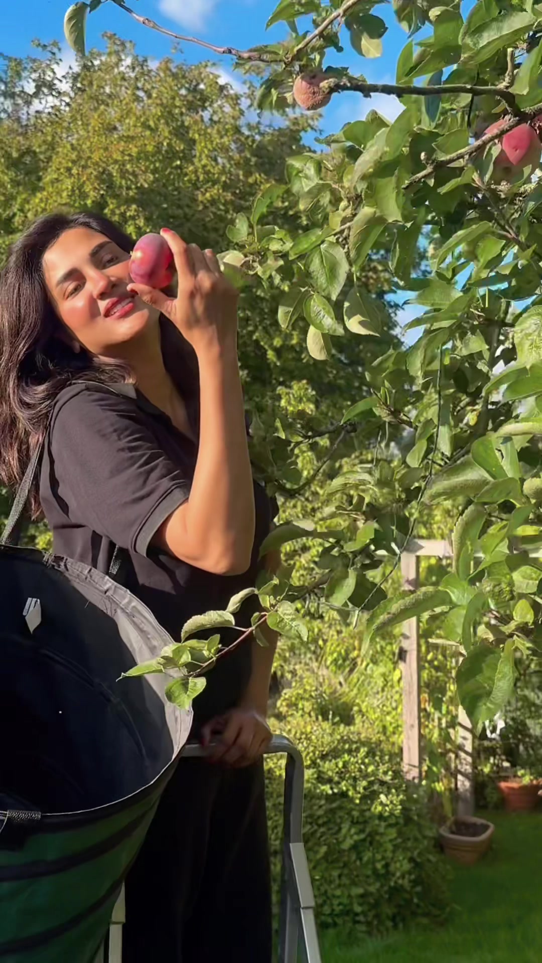 @fizaalitiktok