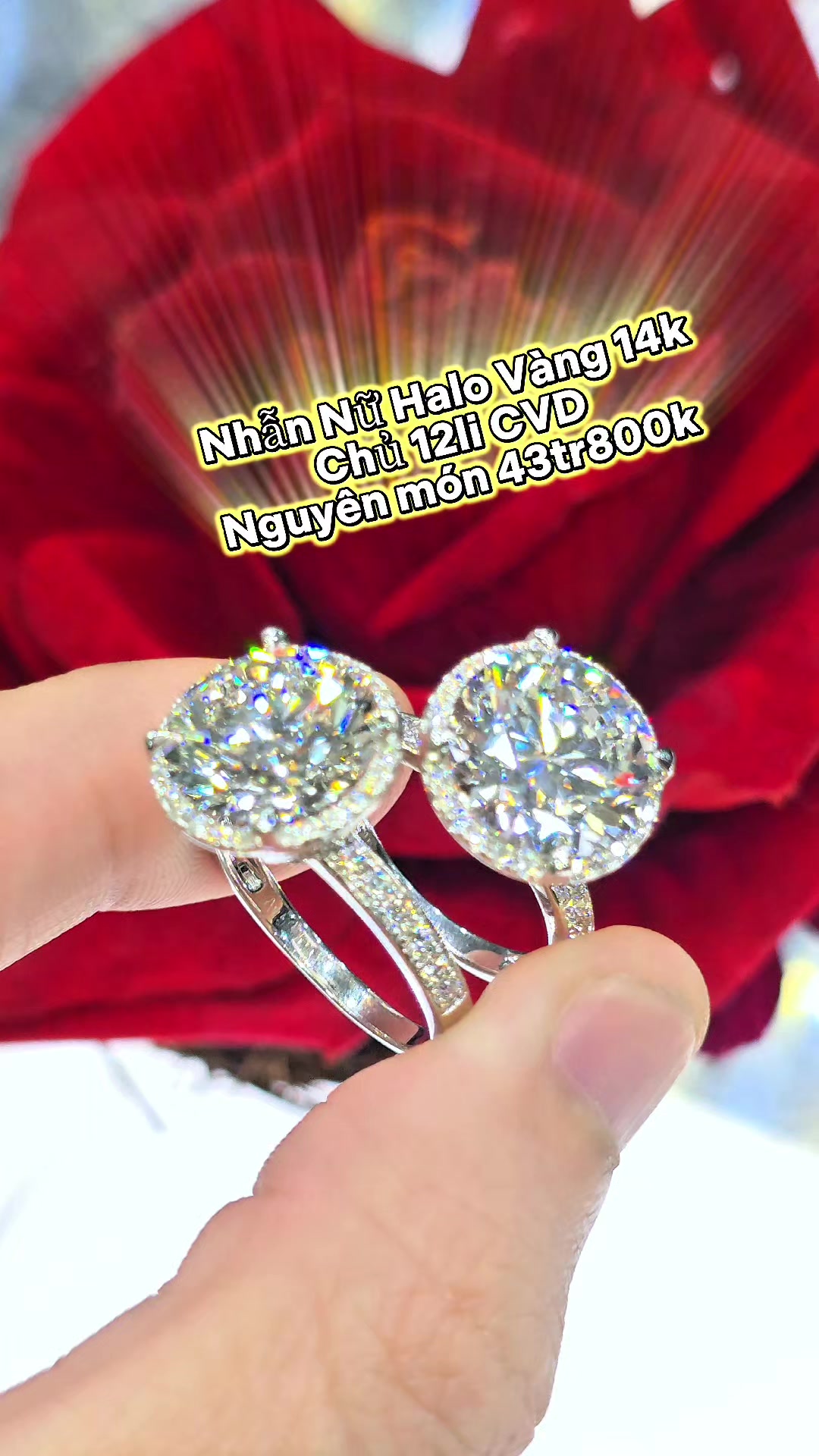@KIM CƯƠNG NU&Ocirc;I CẤY GI&Aacute; SỈ