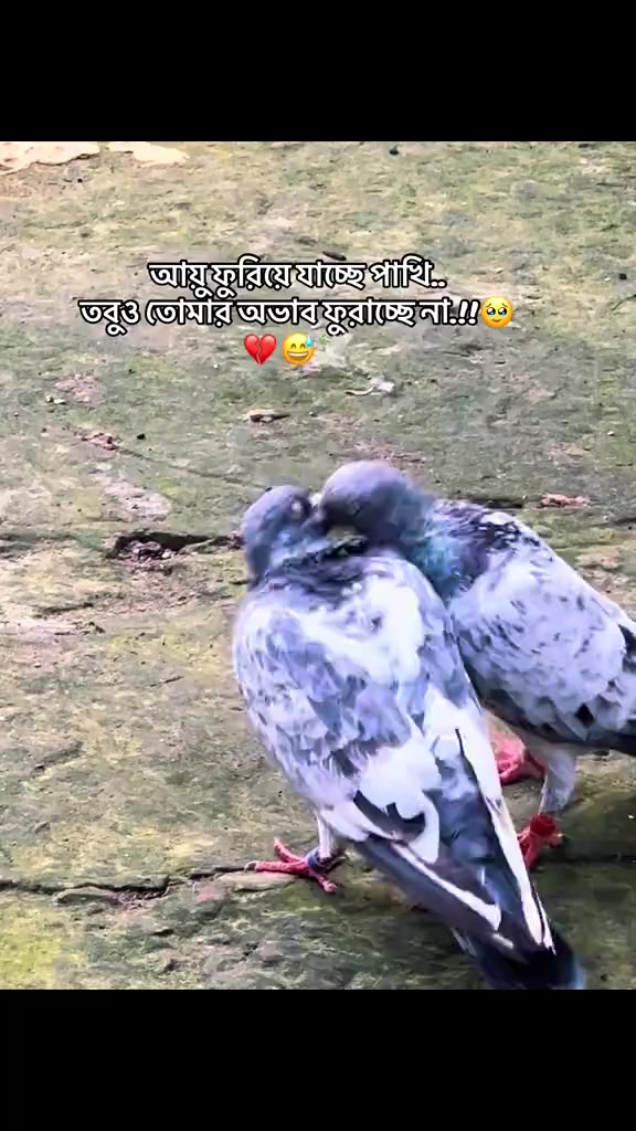 @đĩī¸,,,,,āĻŽāĻžā§āĻžāĻŦāϤāĻŋ,,,,,đĩī¸