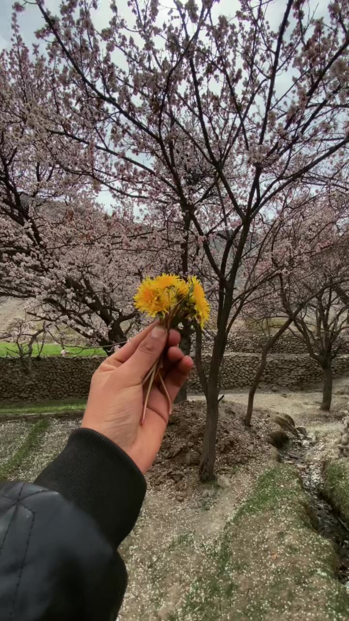 @𝙕𝙚𝙨𝙝𝙖𝙣 𝙂𝙖𝙡𝙡𝙚𝙧𝙮🏔️