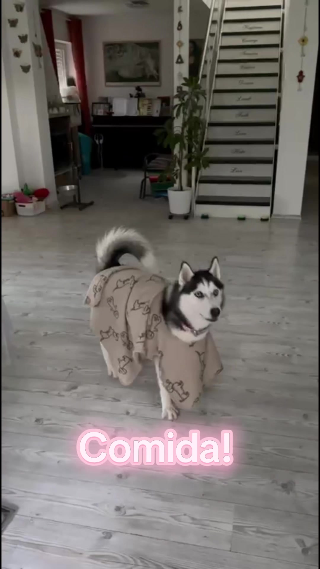 @hhsol