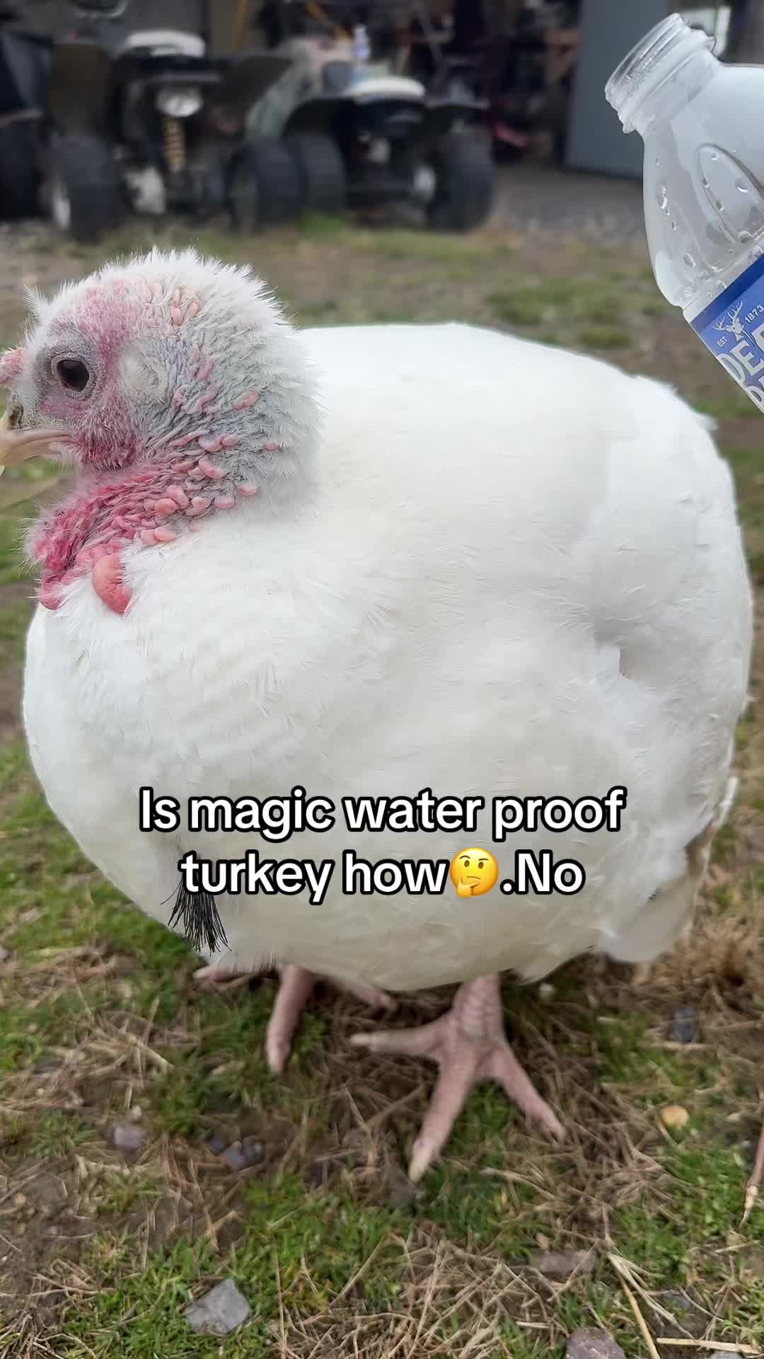 @No