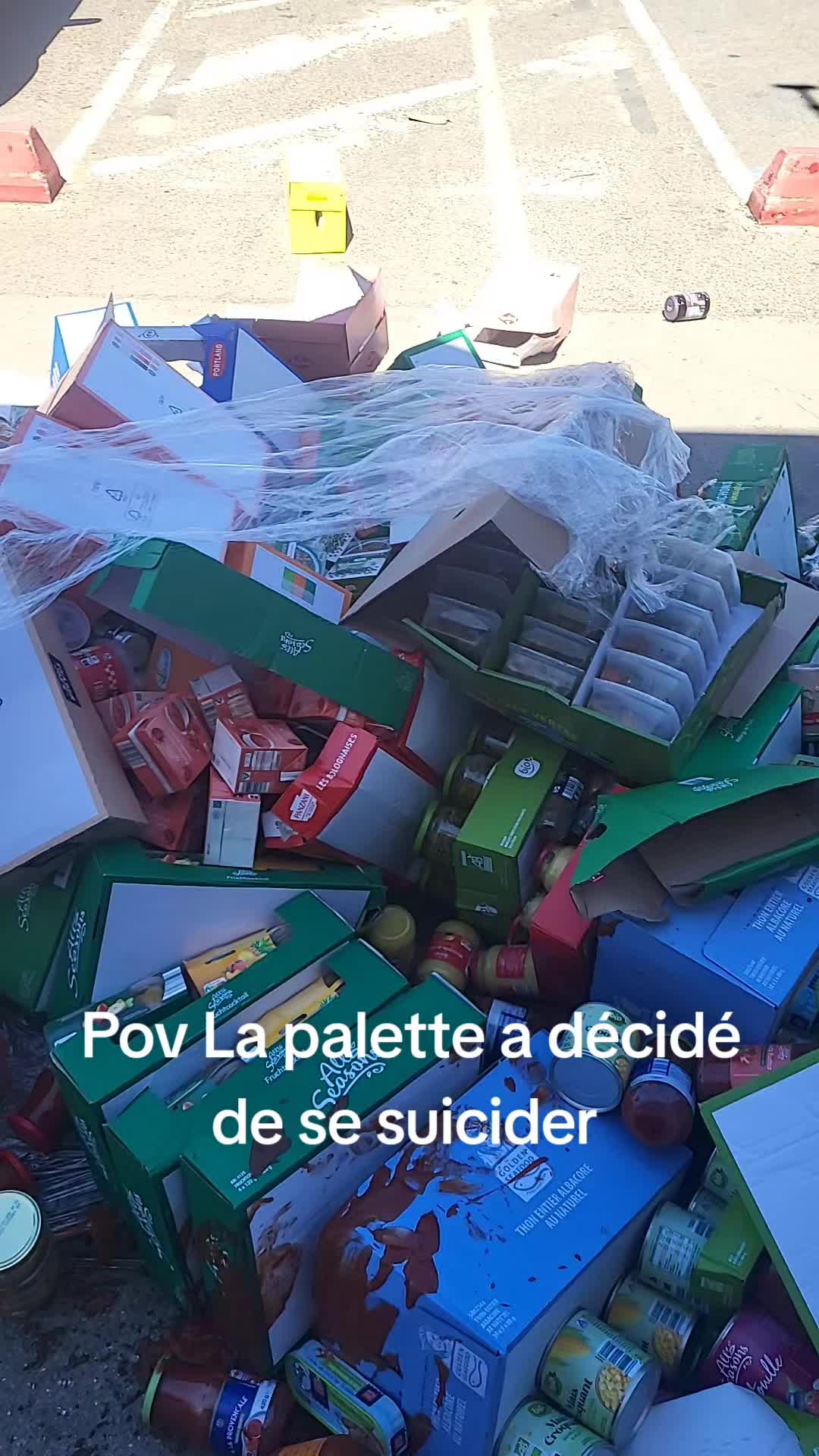 @✨️Nanoux✨️