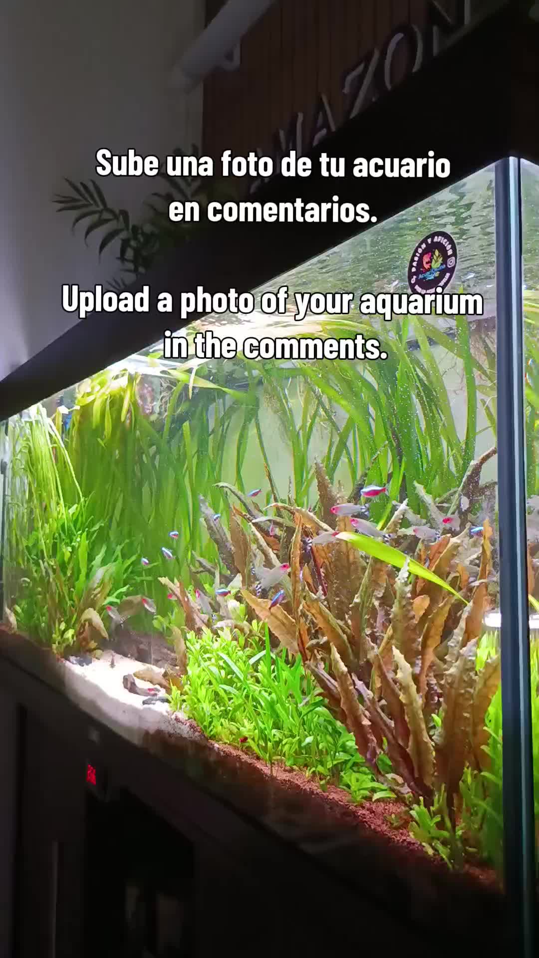 @Acuariosuna