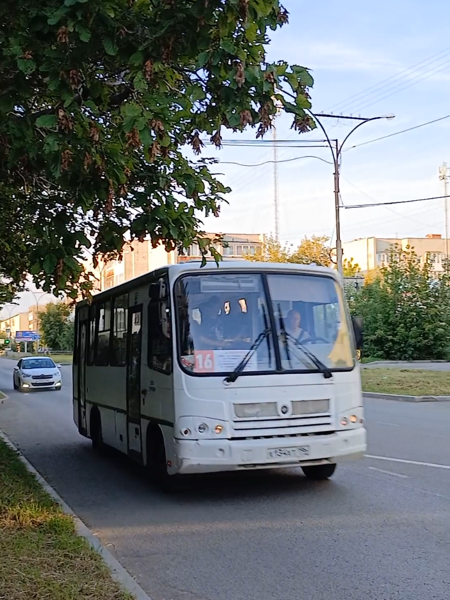 @Михалыч