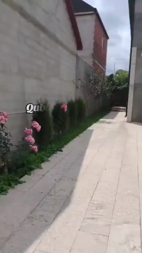 @Feran Mehtiyev