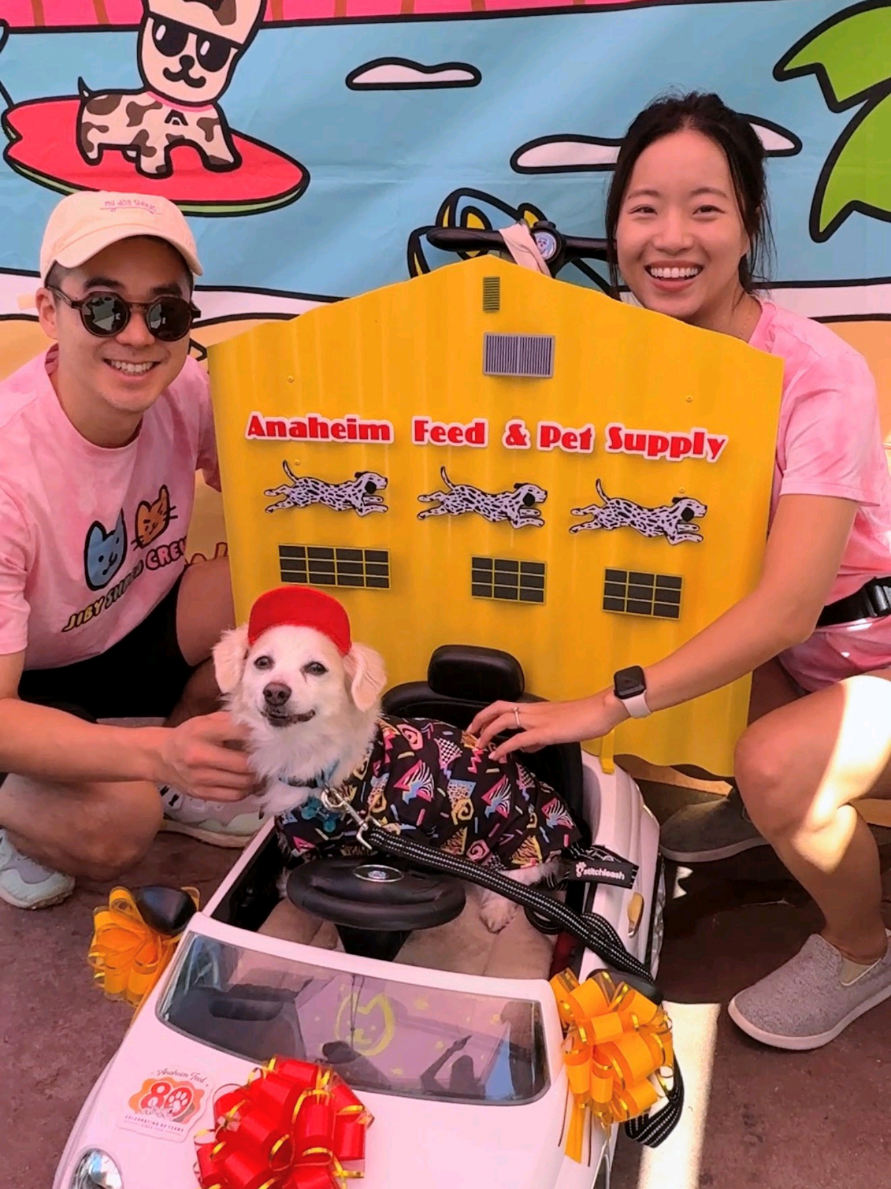 @Jiby Dog Crew