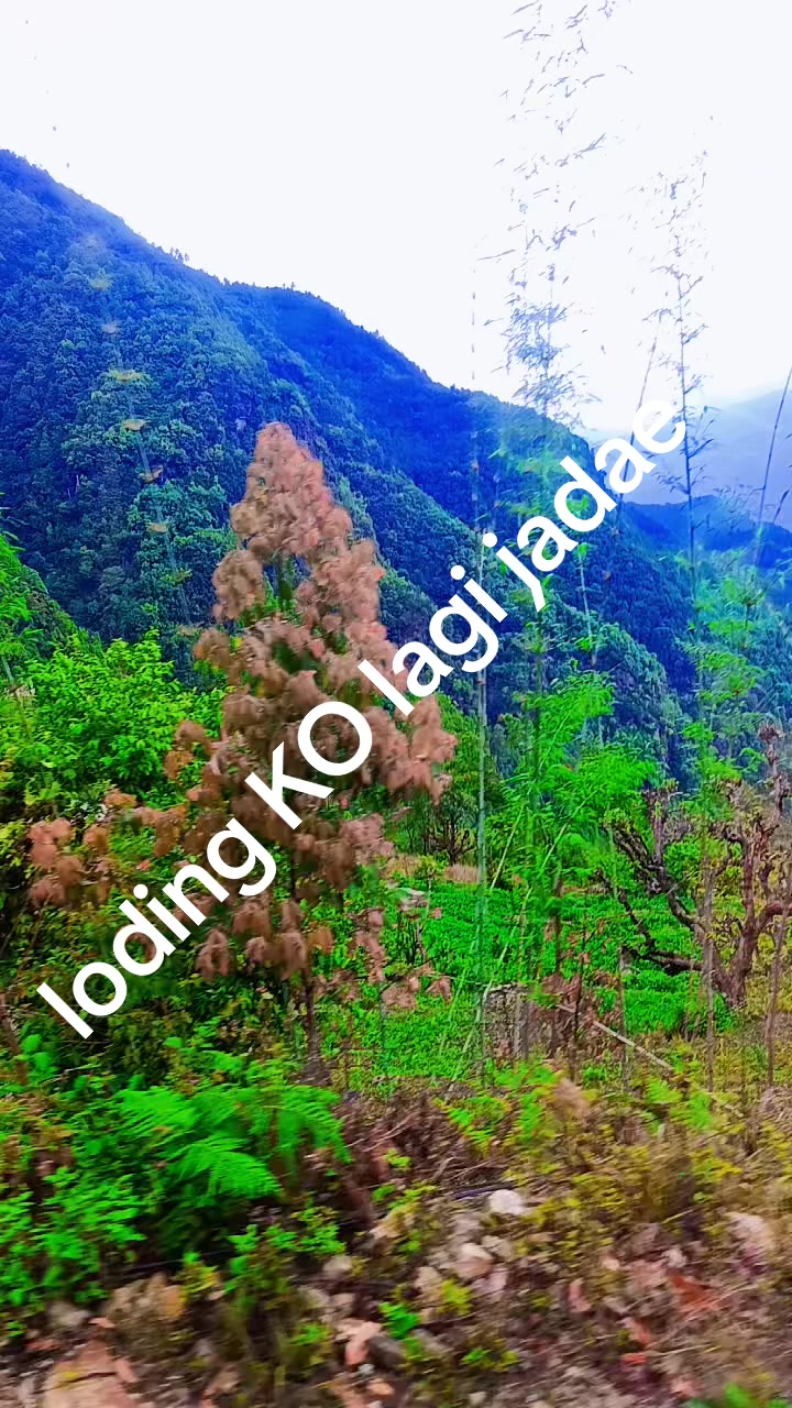 @@yadavbikram143