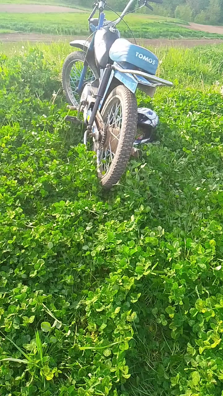@aleksa