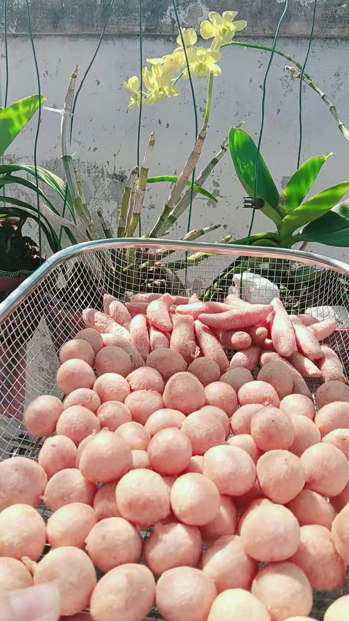 @HOA NGUYỆT QUẾ
