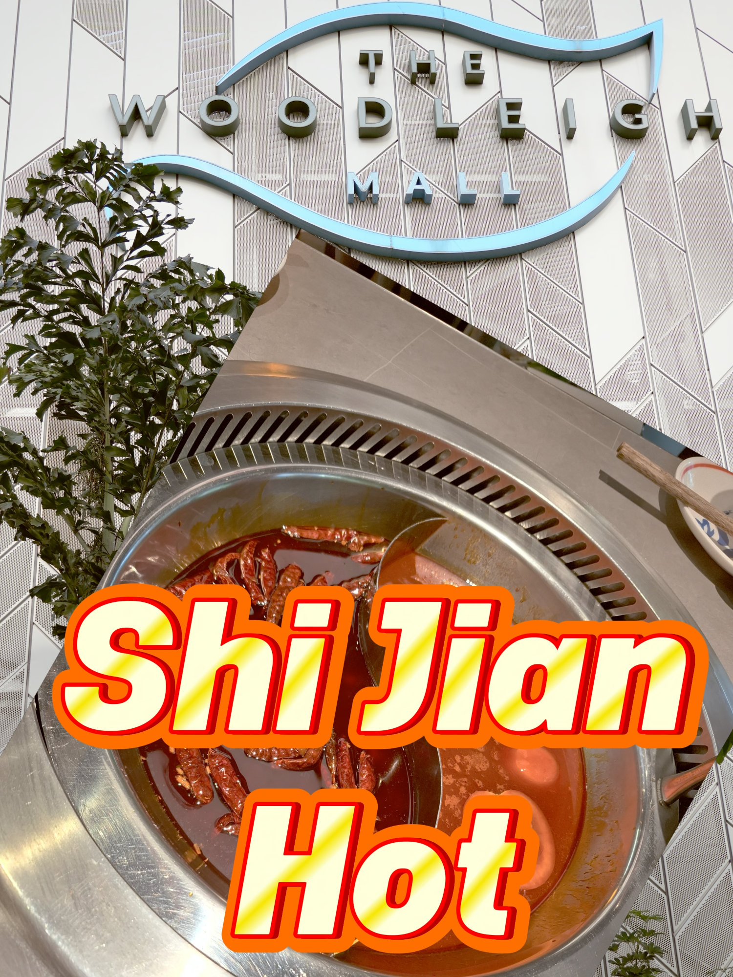 @新马泰