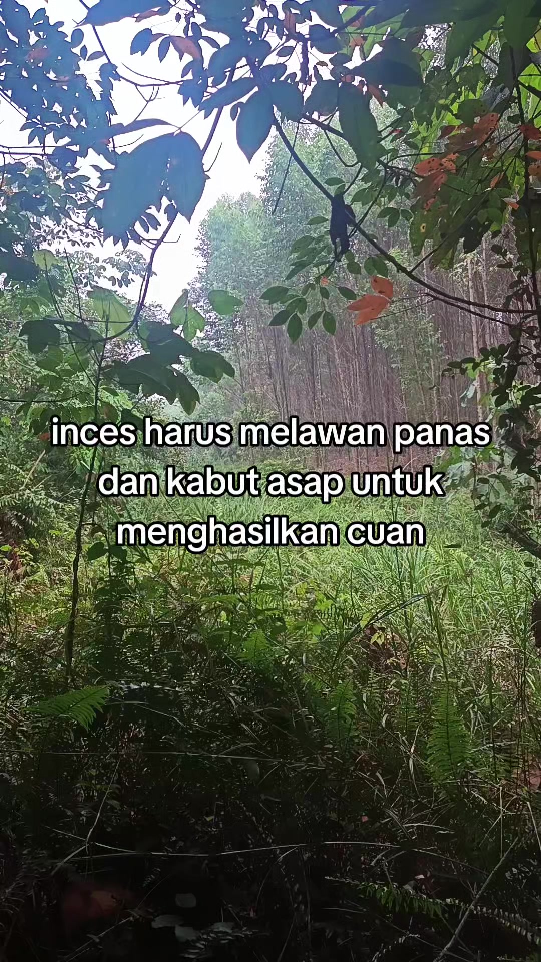 @BINI MU🌞