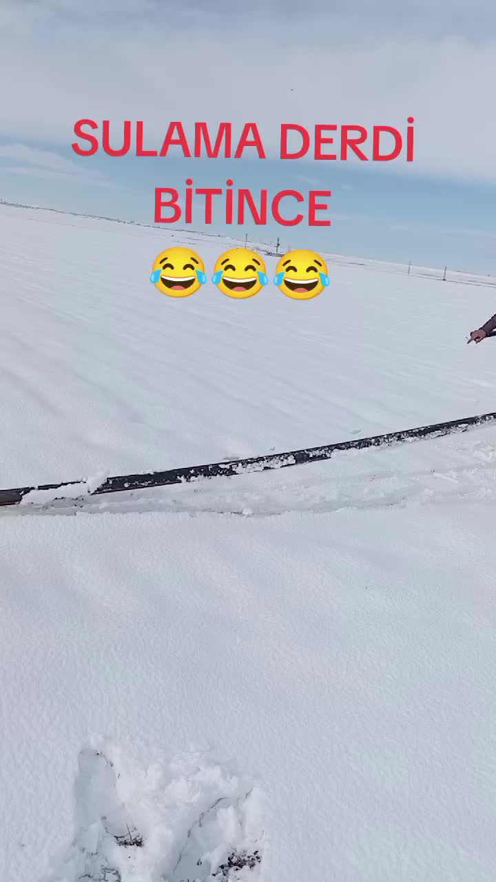 @Nejat Ergin
