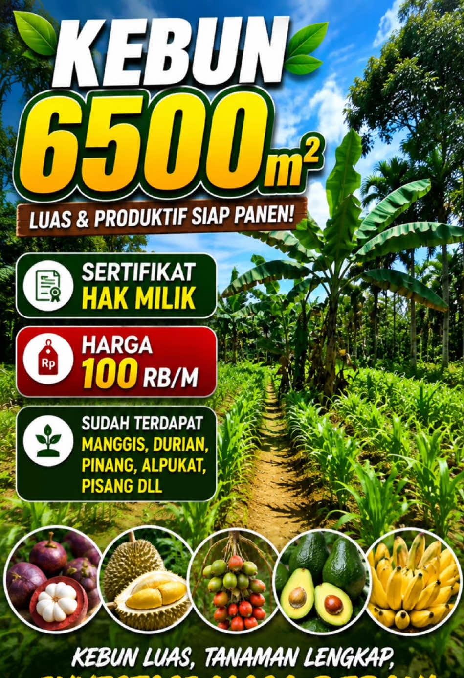 @Sumbar Property